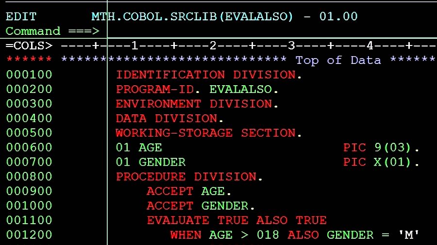 cobol program