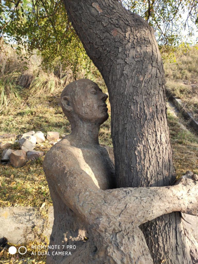 RN 7 Pro Camera Sample 1