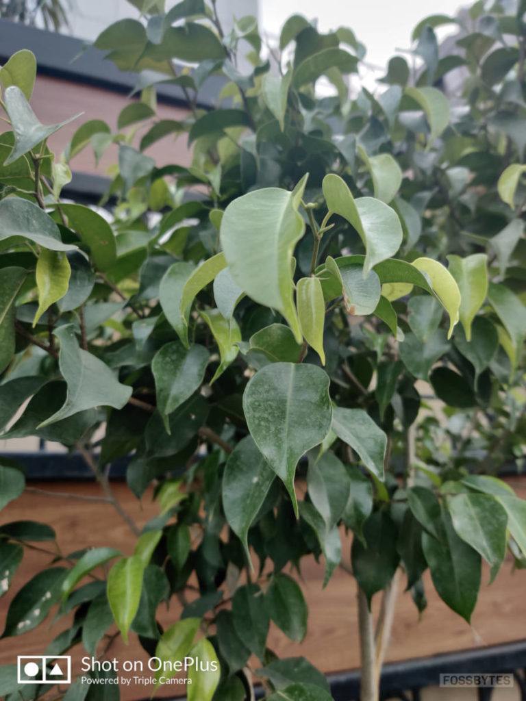 OnePlus 7 pro camera sample 1