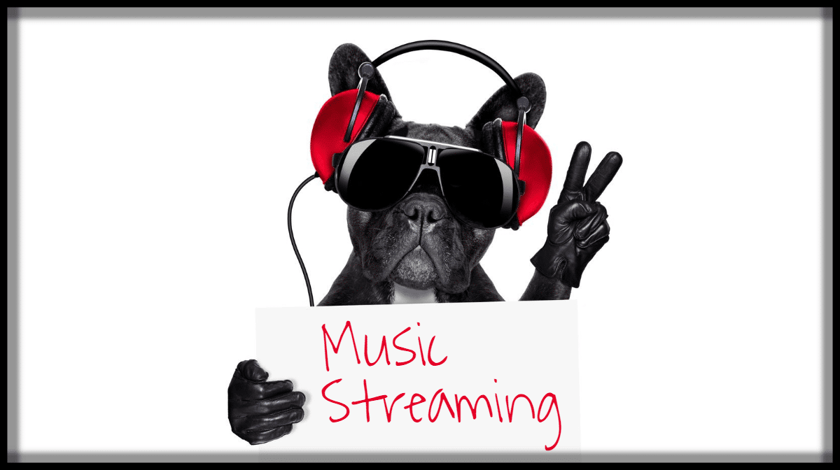 Best Music Streaming Apps Android iOS Main