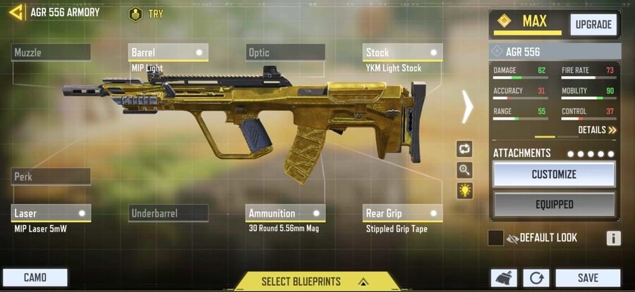 AGR556 custom loadout