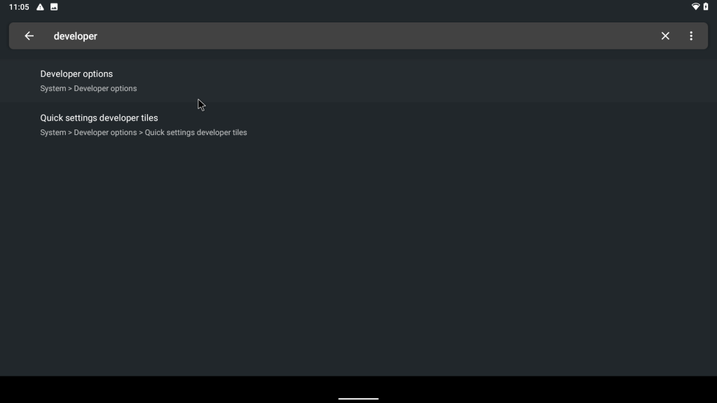 developer options search
