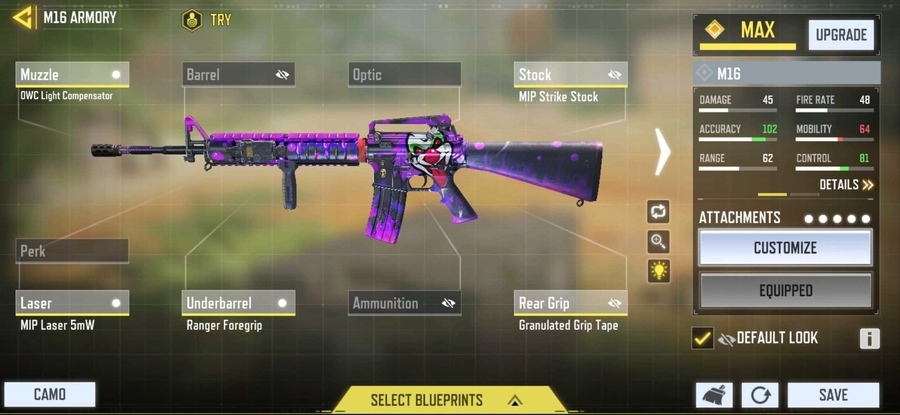 M16 iron sight loadout