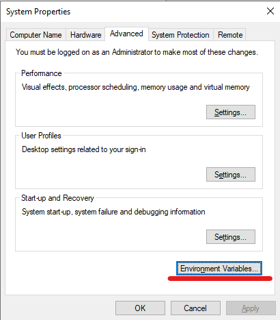 environmaent variables