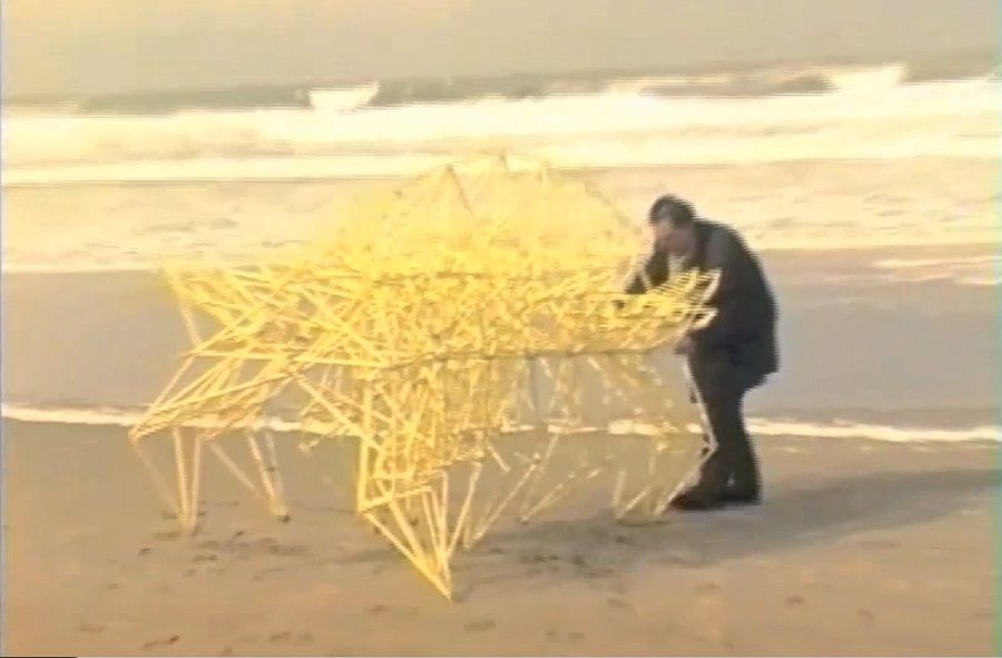 chorda strandbeest theo jansen