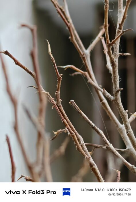 Daylight image sample-6