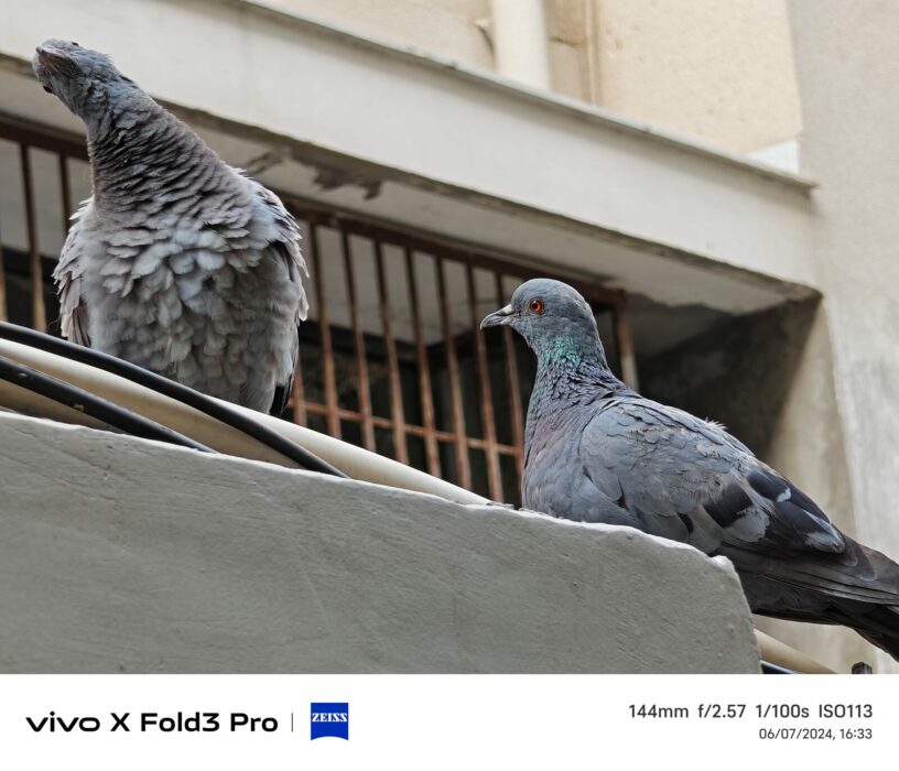 Image from the zoom lens of vivo X Fold 3 Pro-2