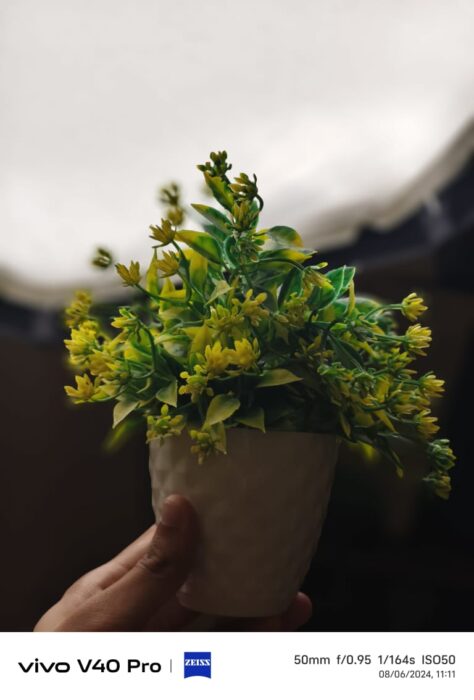 Daylight sample from the vivo v40 pro-2