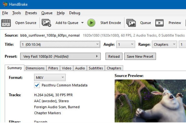 Image of the handbrake interface to convert dvd to mp4